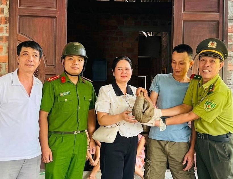 Cá thể tê tê Java quý hiếm được lực lượng chức năng tiếp nhận từ ông Trần Văn Bin. Ảnh: Công an phường Kim Long. (Ảnh: Dân Việt)