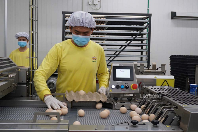 Tây Ninh xác định sự đồng hành thực chất với doanh nghiệp là một trong những nền tảng quan trọng để hướng tới tăng trưởng bền vững. Ảnh: Thanh Vũ./ Theo báo Lao động.