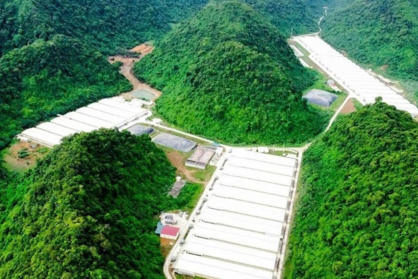 Trang tại nuôi lợn nơi xảy ra sự việc. Ảnh: VietNamnet