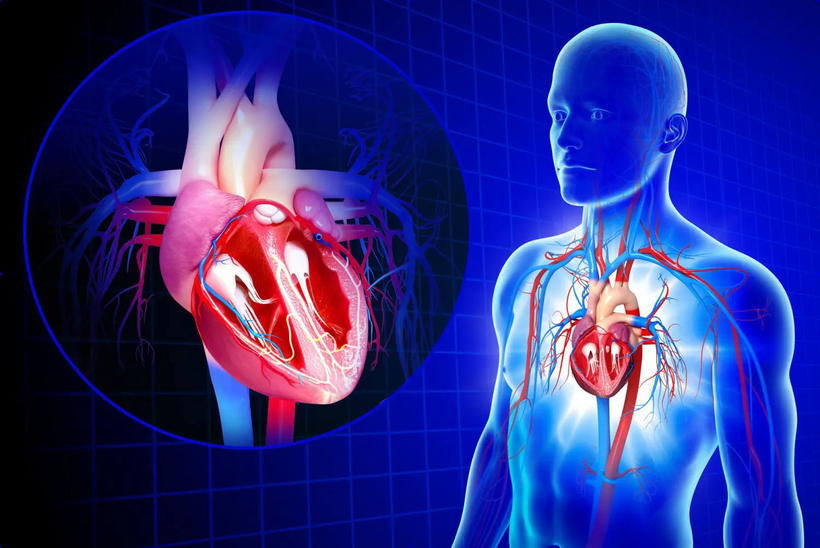 Các bệnh tim mạch điều trị không tốt sẽ dẫn tới suy tim