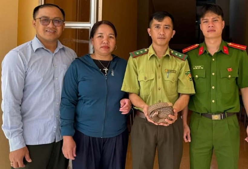 Xã Quỳ Châu tiếp nhận cá thể tê tê Java do người dân giao nộp. Ảnh: UBND xã Quỳ Châu/ Nông nghiệp và Môi trường.