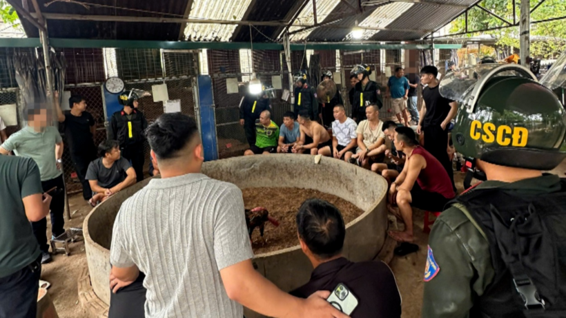 Hiện trường đối tượng tổ chức đánh bạc và đánh bạc dưới hình thức đá gà. Ảnh: Công an Lạng Sơn