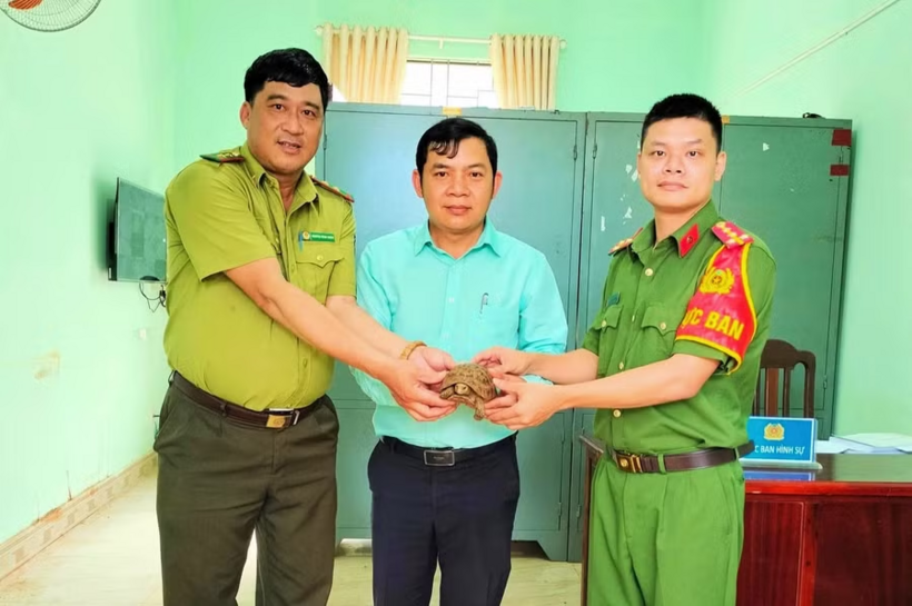 Anh Bùi Đức Tài bàn giao cá thể rùa núi vàng đến Công an xã Al Bá. (Ảnh: Công an tỉnh Gia Lai)