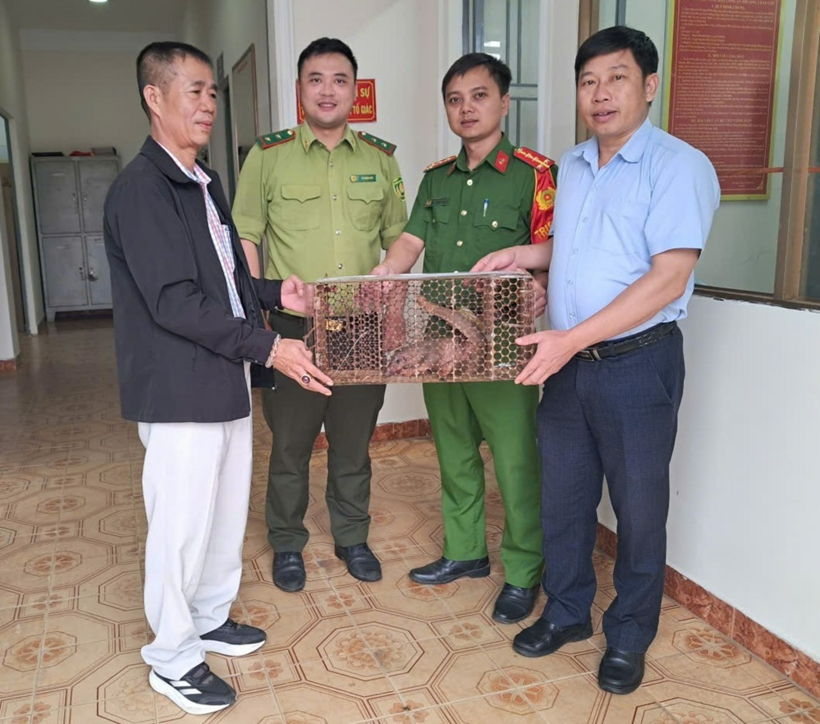 Công an Phường 3 Bảo Lộc phối hợp tiếp nhận cá thể tê tê do người dân tự nguyện giao nộp. Ảnh: Trang thông tin điện tử Công an tỉnh Lâm Đồng