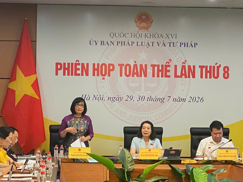 Thứ trưởng Bộ Tư pháp Đặng Hoàng Oanh phát biểu.