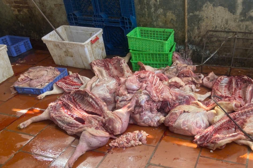 Lợn giá rẻ được thu mua từ nhiều nguồn trên thị trường để sơ chế, pha lọc trước khi bán ra phục vụ tiêu dùng (Ảnh: DMS)./ Theo Dân trí.