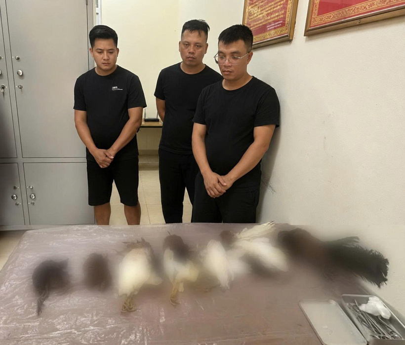 3 đối tượng liên quan vụ sử dụng súng hơi tự chế săn bắn chim trái phép cùng số chim đã săn bắn được. Ảnh Công an tỉnh Lào Cai.