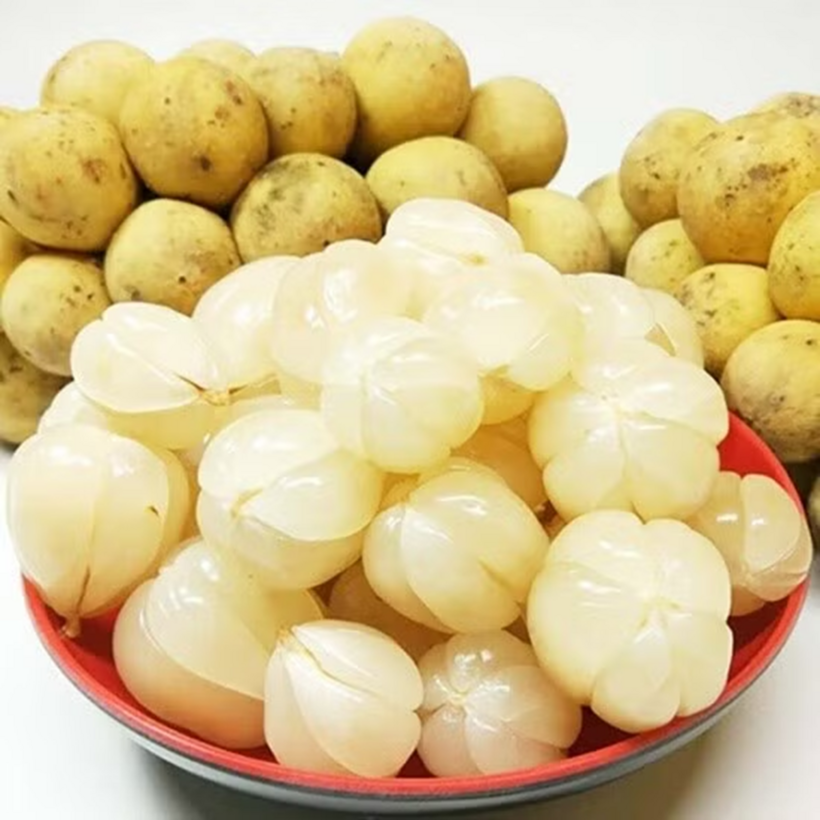 Quả khi chín có lớp vỏ màu vàng nhạt hoặc hơi ngả nâu, rất dễ bóc. Bên trong là lớp thịt quả trắng trong, chia thành từng múi nhỏ tựa như tép tỏi. Ảnh: Tri thức & Cuộc sống