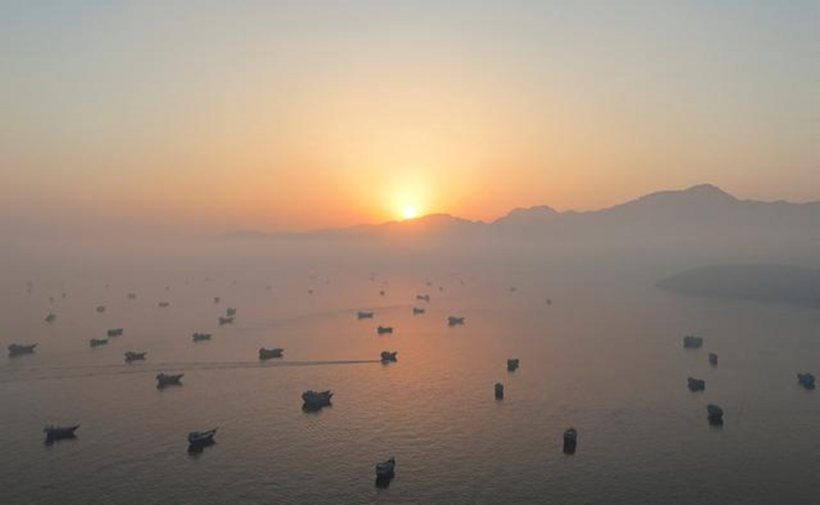 Các tàu thuyền ở eo biển Hormuz ngày 15/6. Ảnh: Reuters