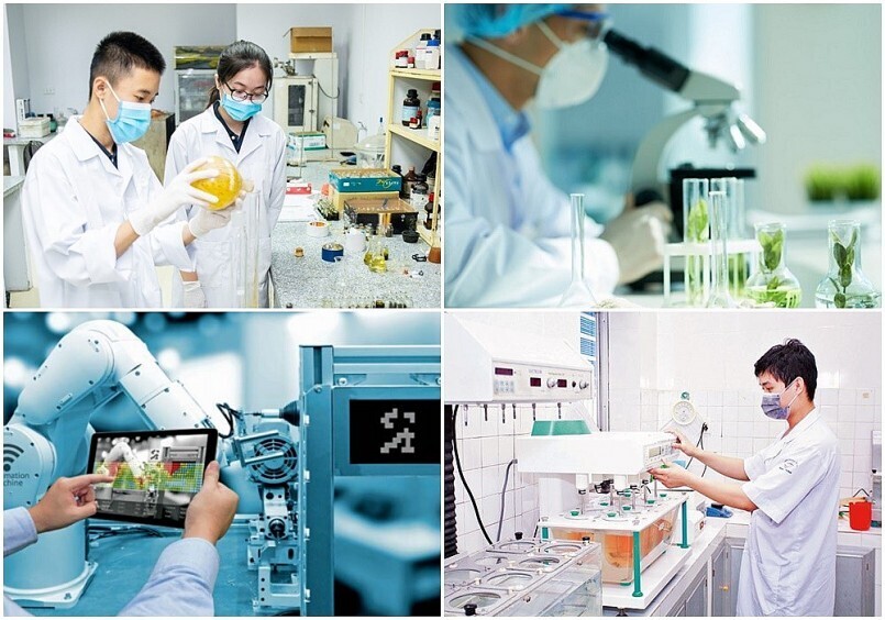 Ảnh chỉ mang tính minh họa/ Theo VGP.