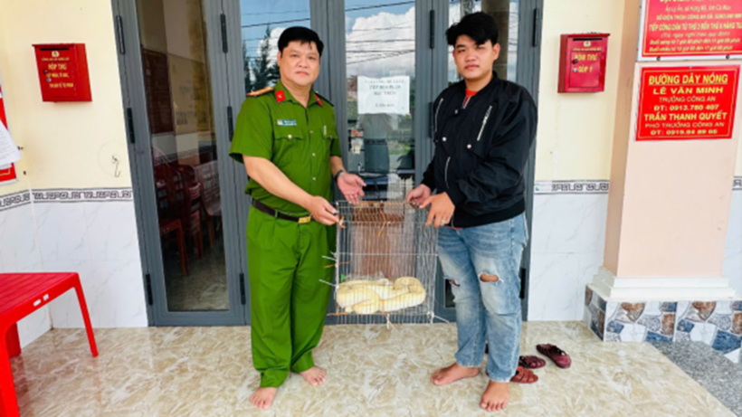 Người dân xã Hưng Mỹ bàn giao cá thể trăn gấm cho Công an xã sau khi phát hiện trong tự nhiên. Ảnh: Công an tỉnh Cà Mau