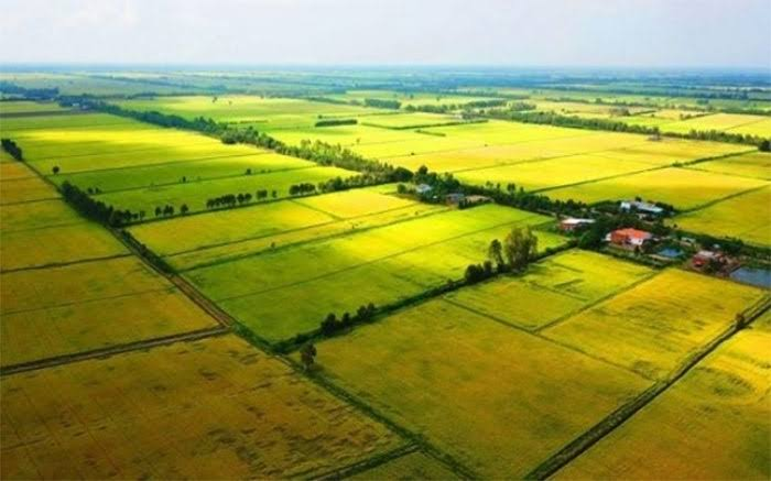 Ảnh minh họa/Quân đội Nhân dân