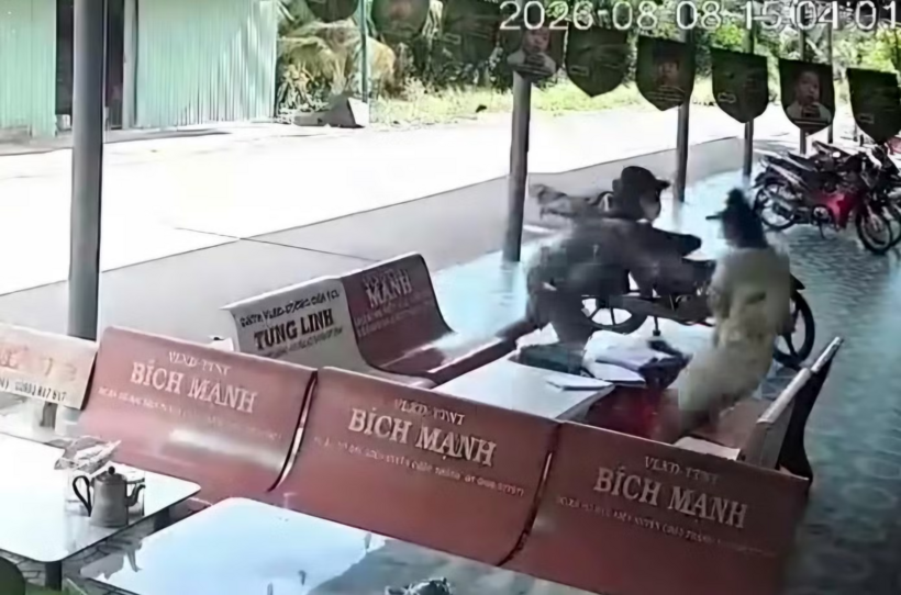 Hình ảnh ghi lại sự việc. Ảnh: Tiền Phong