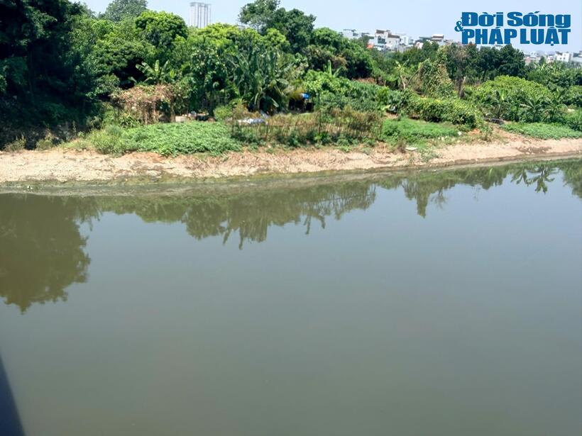 Mùi hôi từ dòng nước sông Nhuệ bốc lên rõ rệt, đặc biệt trong những ngày thời tiết oi nóng.