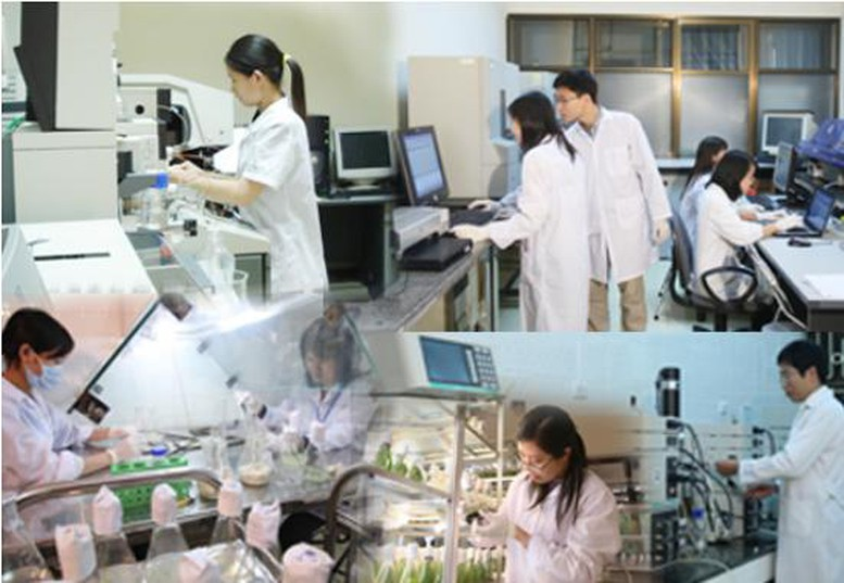 Quỹ hỗ trợ người học trong học tập, nghiên cứu, đổi mới sáng tạo, khởi nghiệp...