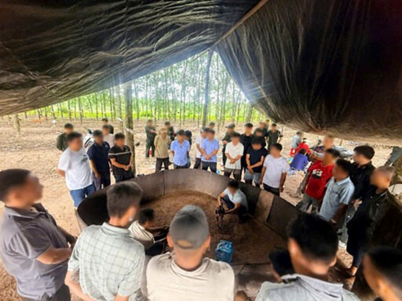 Hiện trường sới gà trong vườn cao su bị Công an tỉnh Tây Ninh triệt phá. Ảnh: Lao động
