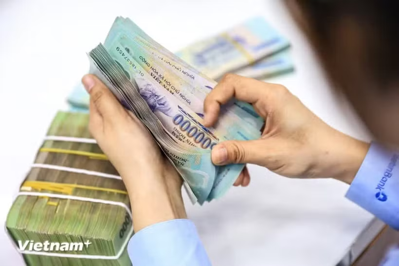 Ảnh minh họa. (Nguồn: Vietnam+)