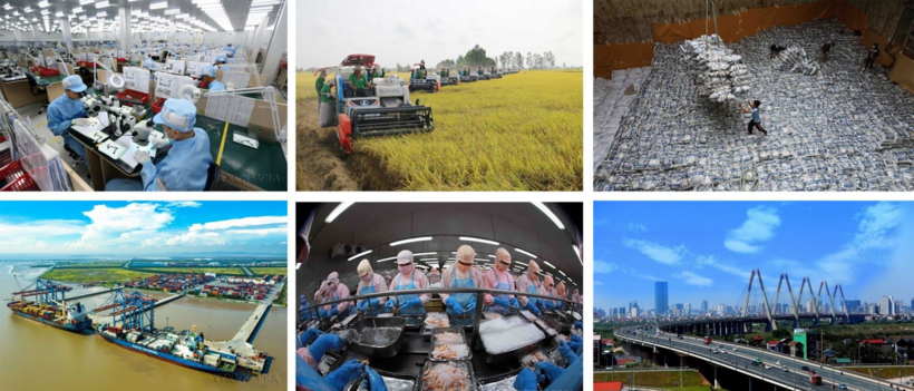 Việt Nam đã vươn lên trở thành một trong những nền kinh tế tăng trưởng năng động của khụ vực và thế giới.