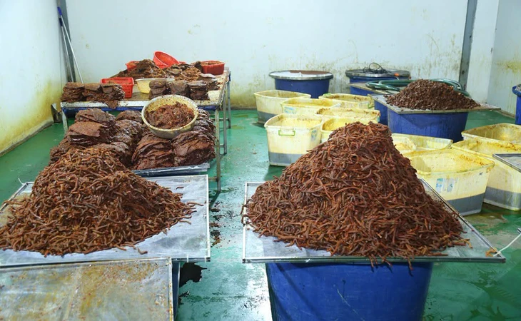 Nguyên liệu đang được chế biến thành khô bò giả. Ảnh: Công an TP.Đồng Nai
