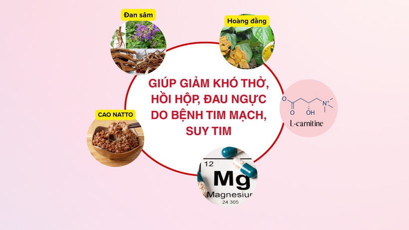 Sản phẩm thảo dược giúp cải thiện triệu chứng cho người suy tim
