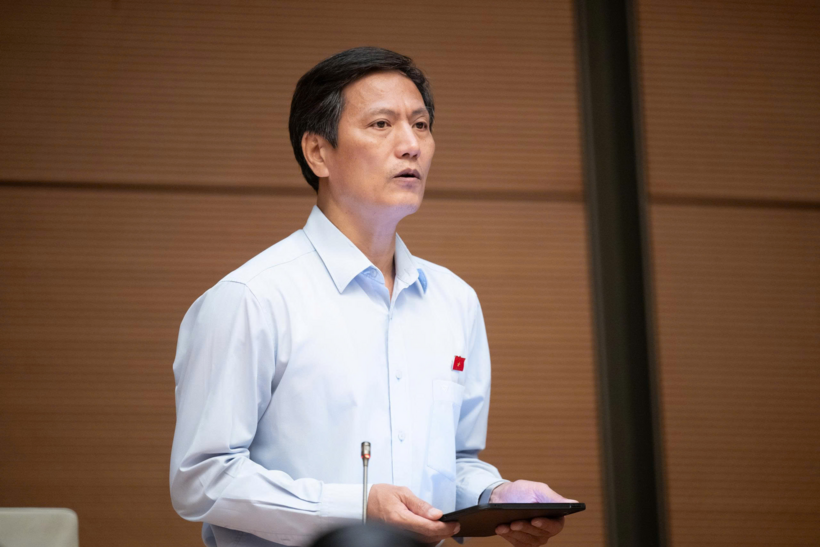 ĐBQH Vương Kim Ánh (Ảnh: Media Quốc hội).