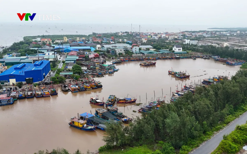 Ảnh minh họa: N.B/VTV Times