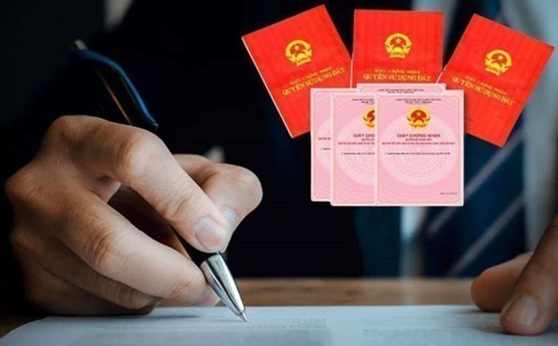 Ảnh minh họa/Báo Lao Động