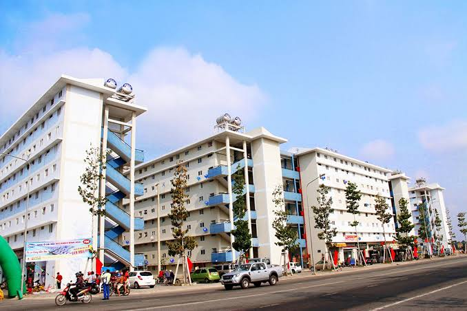 Ảnh minh hoạ/Báo Thanh Niên