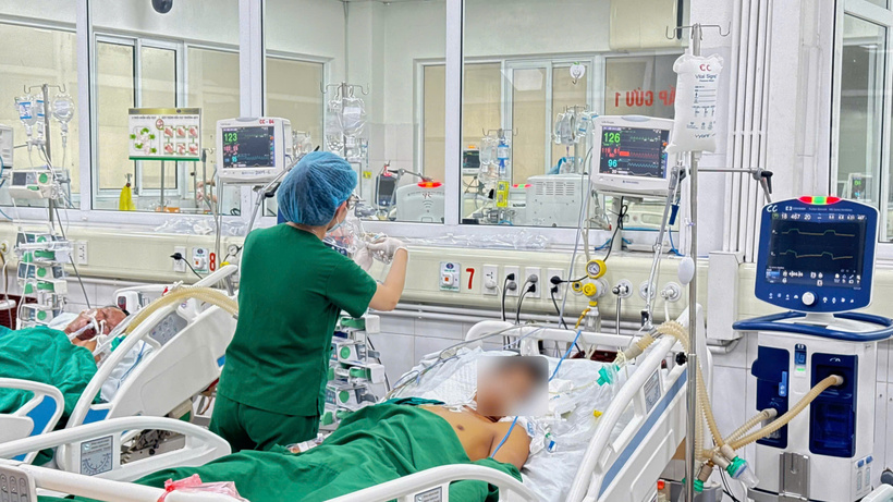 Vi khuẩn gây bệnh Whitmore tồn tại tự nhiên trong môi trường đất và nước. Ảnh: BVCC