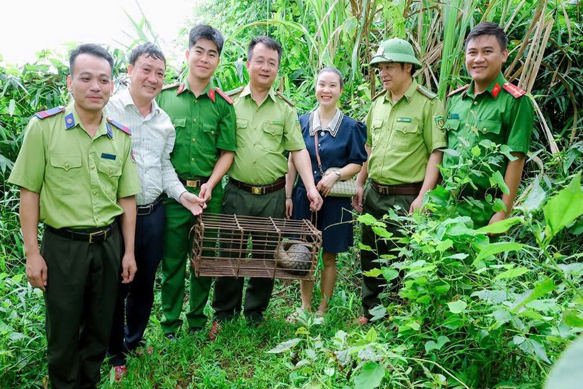 Cá thể tê tê quý hiếm được thả về tự nhiên. Ảnh: Công Lý