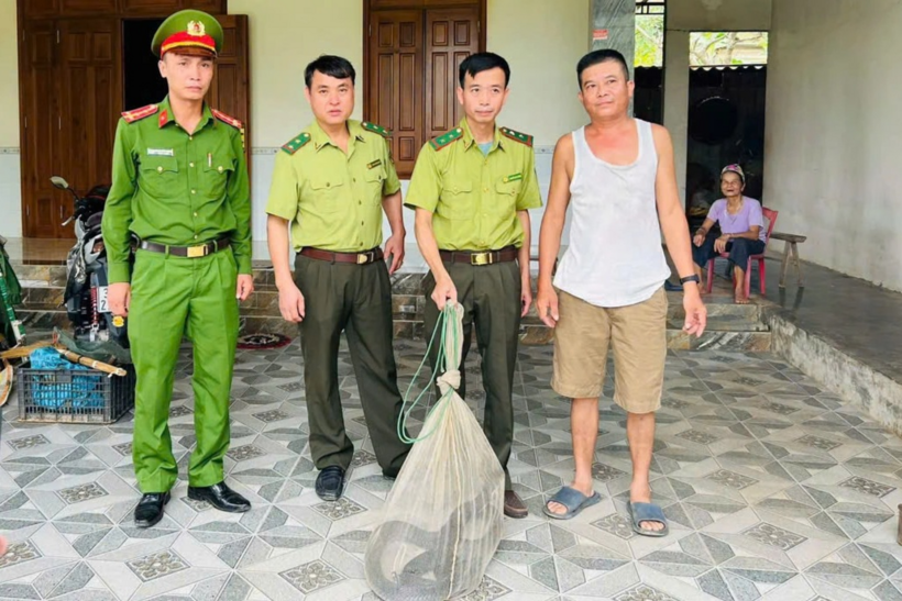 Ông Hà Văn Dũng bàn giao cá thể rắn hổ trâu nặng 4,2kg cho lực lượng chức năng. Ảnh: N. Sơn/Dân trí