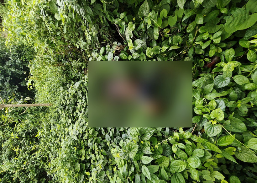 Hiện trường phát hiện nạn nhân Huỳnh Văn Hai. Ảnh: Công an tỉnh An Giang