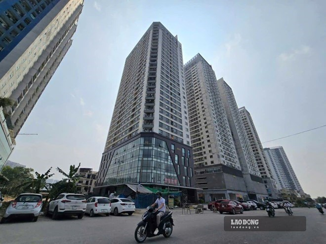 Ảnh minh họa: Bình Nguyên.