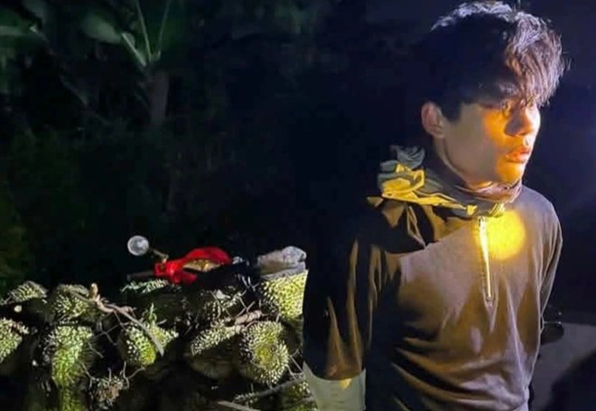 Cơ quan chức năng bắt giữ đối tượng Tăng Ngọc Hiền sau khi trộm cắp sầu riêng của người nông dân ở Đắk Lắk. Ảnh: Công an cung cấp.