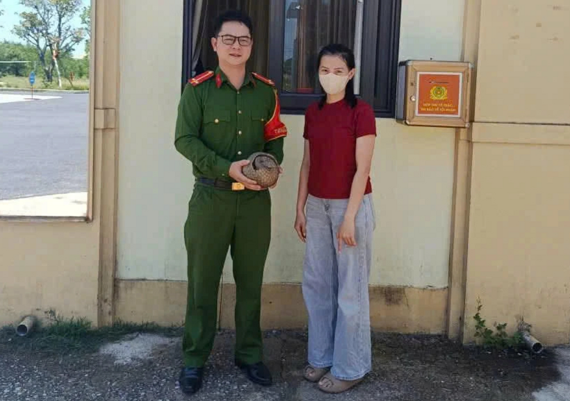 Chị Vân Anh giao nộp con tê tê phát hiện trên đường. Ảnh: Thanh Niên