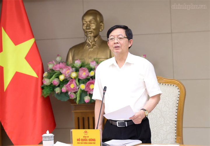 Phó Thủ tướng kết luận cuộc họp - Ảnh: chinhphu.vn/Gia Huy