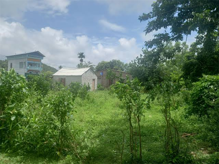 Ảnh minh họa/Lao động