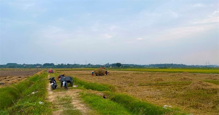 Ảnh minh họa/Lao động
