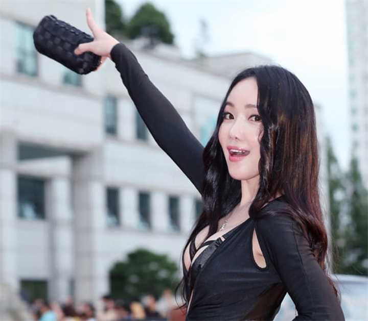 Nancy Lang bị cảnh sát điều tra vì tội lái xe trong tình trạng say rượu. Ảnh: Starnews