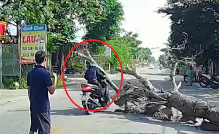 Hình ảnh ghi lại sự việc. Ảnh: Tuổi Trẻ