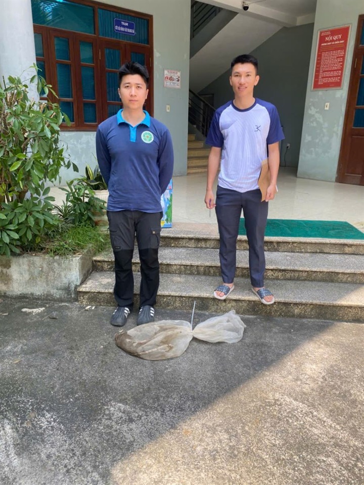 Cá thể rắn quý hiếm được bàn giao cho đơn vị chức năng chăm sóc, bảo vệ. Ảnh: Cổng thông tin Công an tỉnh Phú Thọ