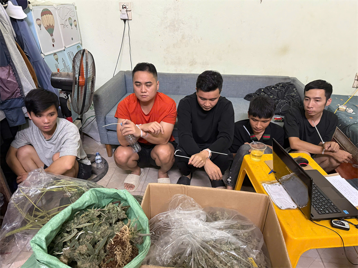 Phát hiện nhóm đối tượng trồng, mua bán trái phép gần 74 kg cần sa ở Hưng Yên. Ảnh: Công an tỉnh Hưng Yên