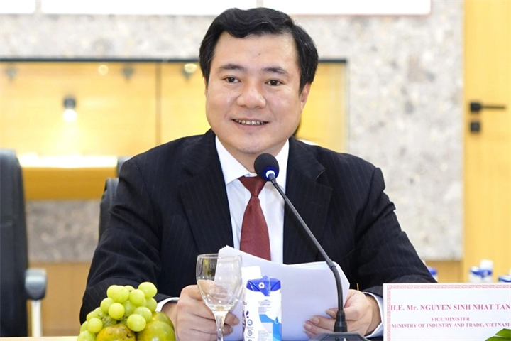 Ông Nguyễn Sinh Nhật Tân (Ảnh: VGP).