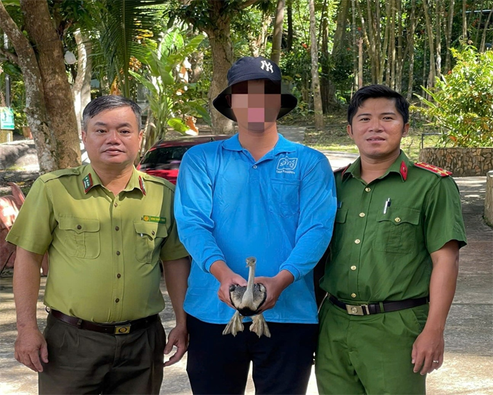 Một người đàn ông ở phường Vĩnh Thông (An Giang) vừa giao nộp cho cơ quan chức năng một cá thể chim cổ rắn quý hiếm. Ảnh: Công an An Giang