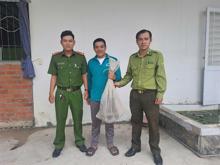 Cầy hương được người dân phát hiện và tự nguyện giao nộp. Ảnh: Công an An Giang