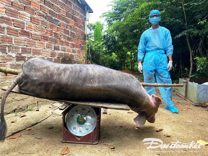 Ảnh minh họa: Báo Đại đoàn kết.