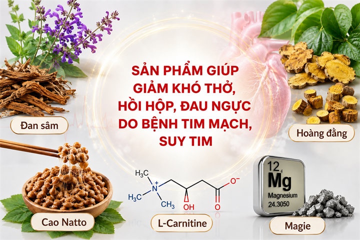 Người bệnh tim mạch nên dùng sản phẩm thảo dược để giảm khó thở khi nằm
