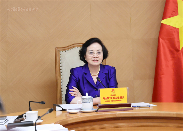 Phó Thủ tướng Phạm Thị Thanh Trà cho ý kiến về Đề án - Ảnh: chinhphu.vn/Thu Giang