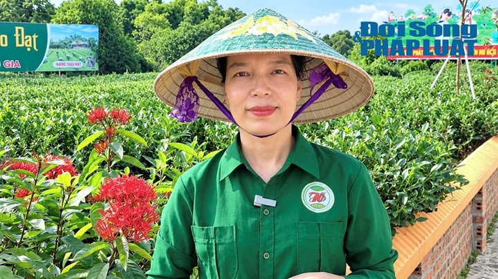 Chị Đỗ Thị Thuỳ, xã Tân Cương, tỉnh Thái Nguyên.