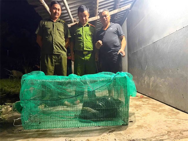 Con trăn khủng nặng 20kg bò vào nhà ông Hồ Trọng Phước./ Theo báo Tiền phong.